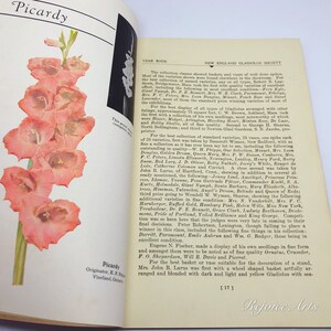 New England Gladiolus Society Gladiolus Beautiful Year Book 1931 image 3