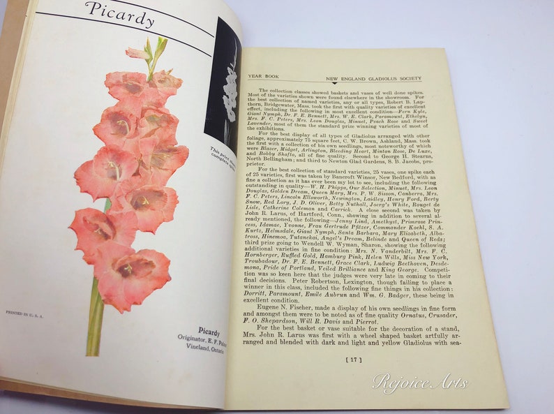 New England Gladiolus Society Gladiolus Beautiful Year Book 1931 image 3