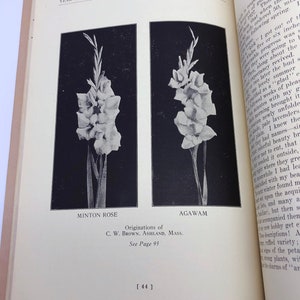 New England Gladiolus Society Gladiolus Beautiful Year Book 1931 image 5