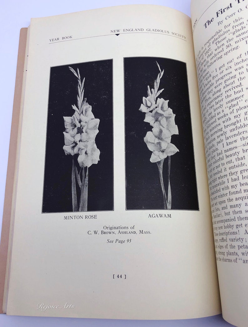 New England Gladiolus Society Gladiolus Beautiful Year Book 1931 image 5