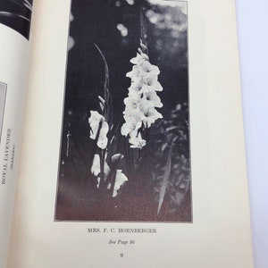 New England Gladiolus Society Gladiolus Beautiful Year Book 1930 image 3