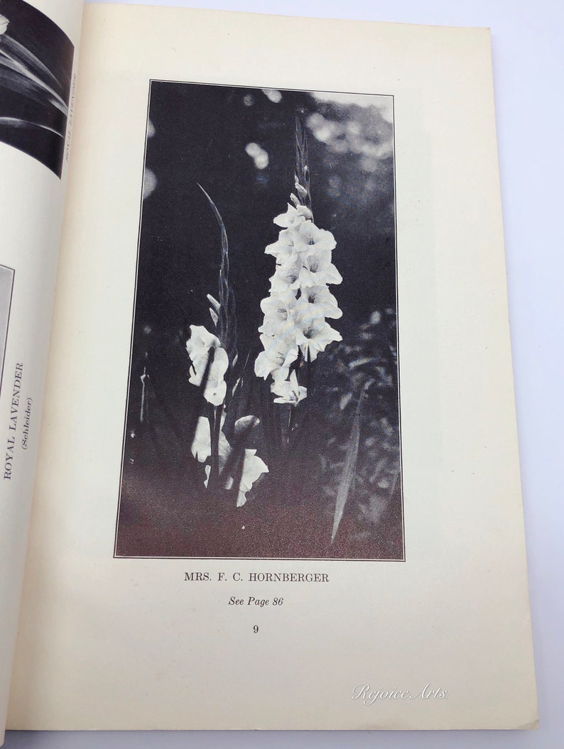 New England Gladiolus Society Gladiolus Beautiful Year Book 1930 image 3