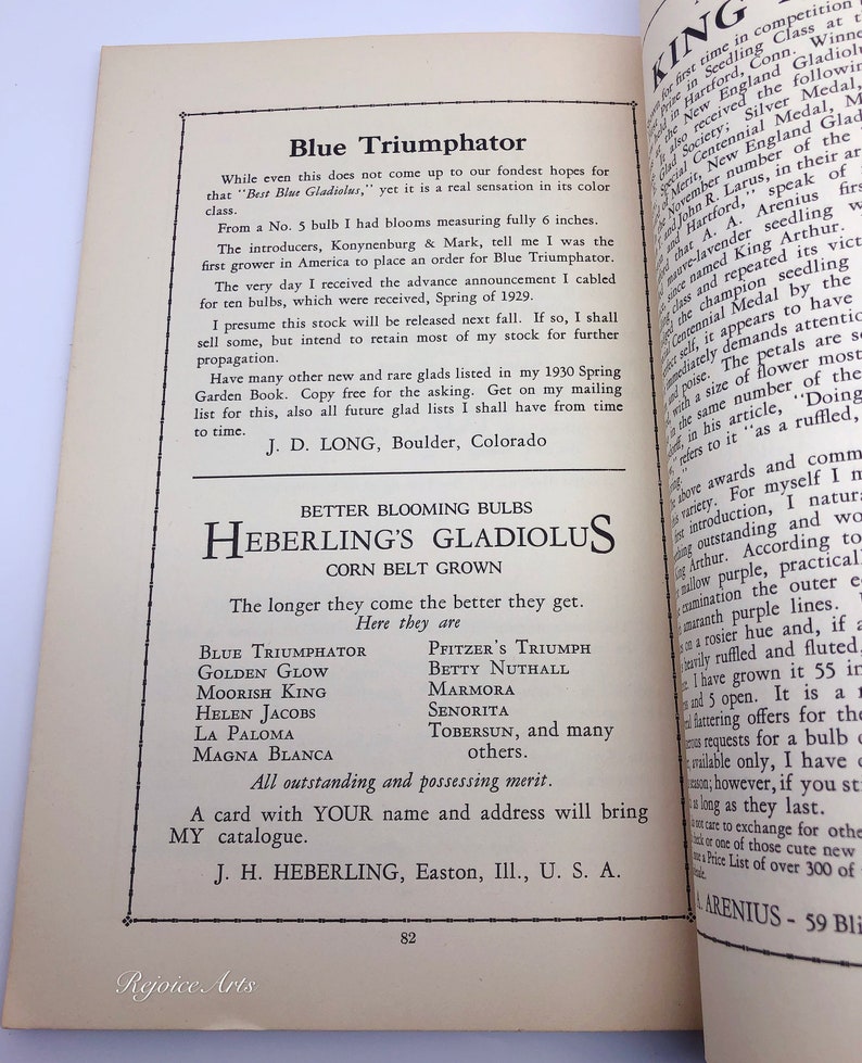 New England Gladiolus Society Gladiolus Beautiful Year Book 1930 image 6