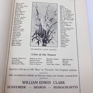 New England Gladiolus Society Gladiolus Beautiful Year Book 1930 image 4