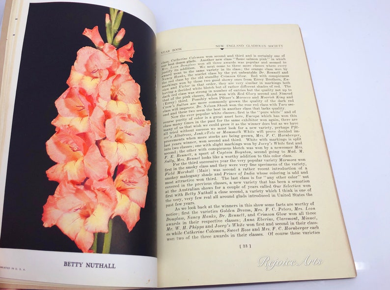 New England Gladiolus Society Gladiolus Beautiful Year Book 1931 image 4
