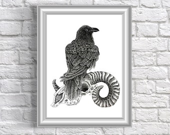 Raven on Ram Skull Tattoo Flash Style Fine Line Black and White Illustration A4 / A5 Portrait Print