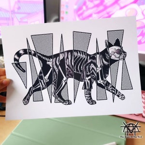 Op de afbeelding: Zwart-witte illustratie van een katten skelet met een geometrische patroon achtergrond. De kat loopt en zijn skelet is zichtbaar door zijn vacht.