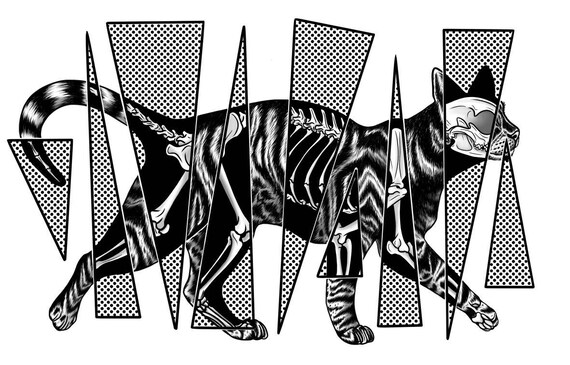 SF・ファンタジー・ホラー luck23 Secret Base LUCKY CAT X-RAY SF・ファンタジー・ホラー luck23 Secret Base LUCKY CAT X-RAY