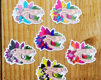Pride Opossum Skull Vinyl Stickers 2.5" | Gay Pride | Bi Bisexual | Lesbian | Asexual Ace | Non Binary Enby | Pansexual | Trans Transgender