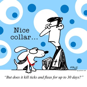 Nice Collar funny dog cartoons greeting cards mugs tee shirts mouse pads pets animals