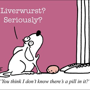 Liverwurst funny dog cartoons greeting cards mugs tee shirts mouse pads pets animals veterinarian pills medicine