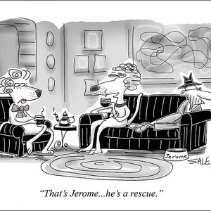 Jerome Rescue dog funny animal cartoons greeting cards mugs tee shirts mouse pads pets