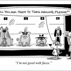 Police Line Up funny dog cartoons greeting cards mugs tee shirts mouse pads pets animals butts crime