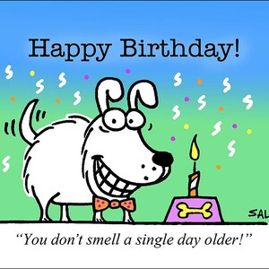Birthday Dog funny dog cartoons greeting cards mugs tee shirts mouse pads pets animals