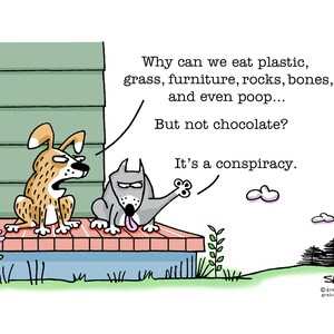 Chocolate Conspiracy funny dog cartoons greeting cards mugs tee shirts mouse pads pets animals