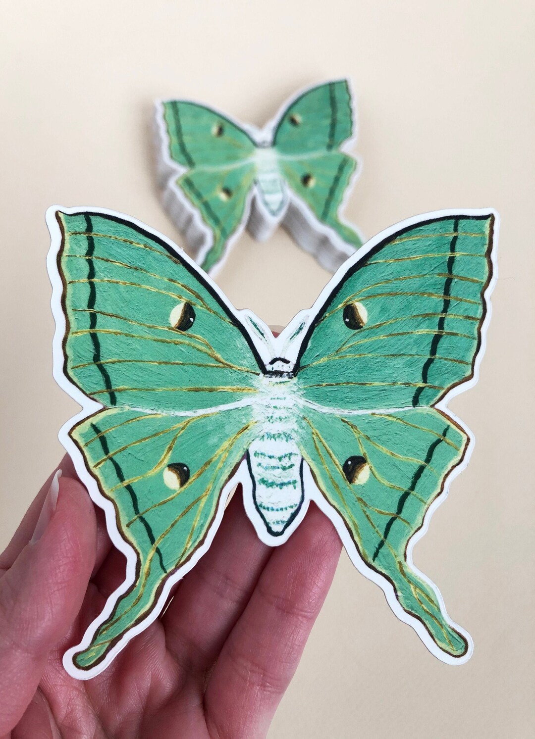 Luna Moth Art Sticker: Satin Matte Laptop Decal - Etsy