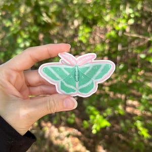 Mint Moth Vinyl Sticker | Lepidoptera | Moth Lover Gift | Laptop | Water Bottle | Decal