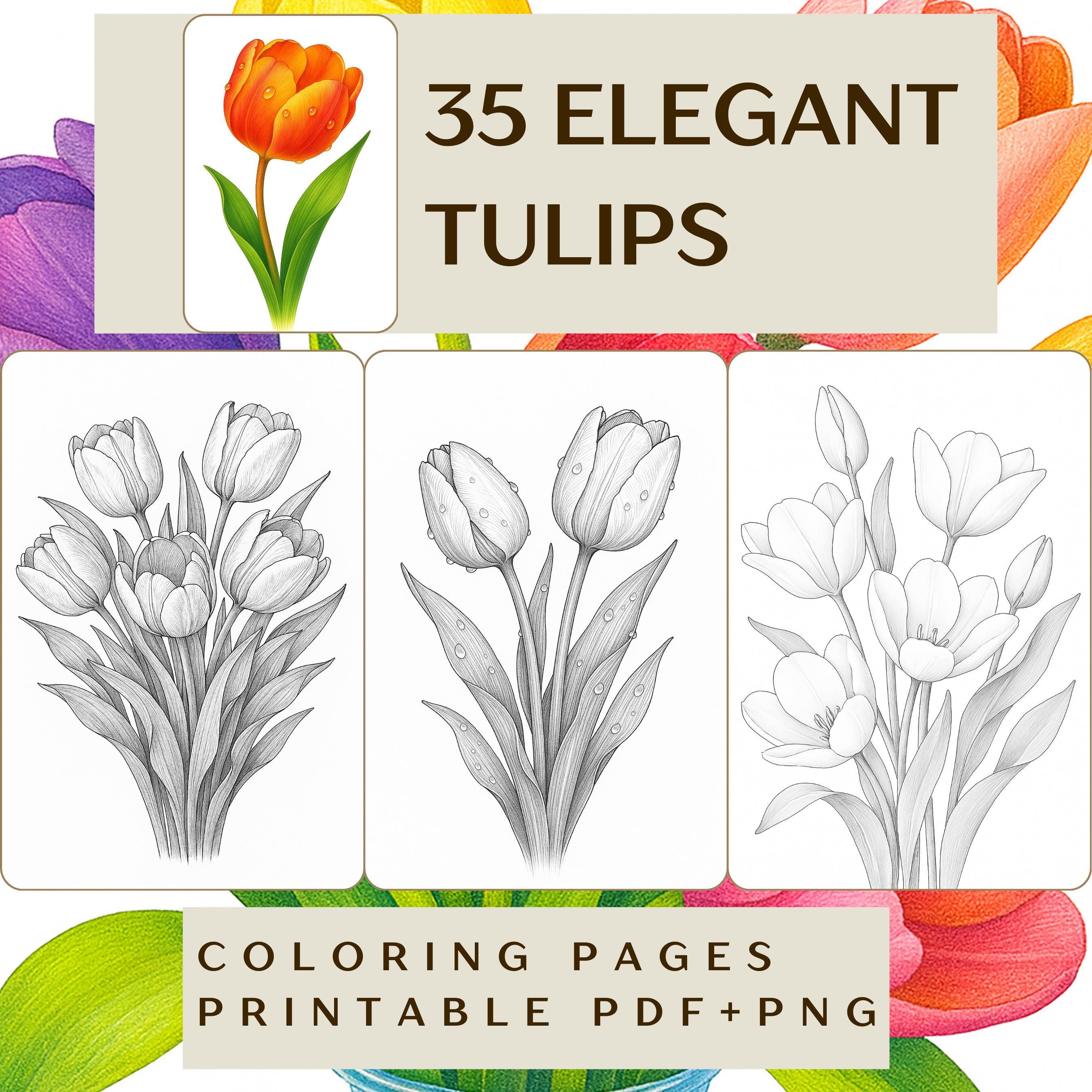 Tulip coloring page - Etsy België, image size:2700x2700