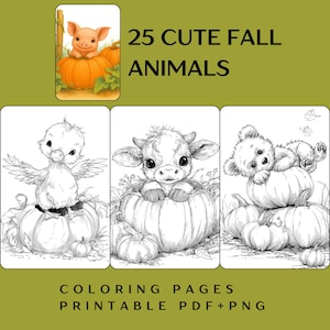 May include: A digital coloring book cover with the text "25 Cute Fall Animals." The cover features a piglet on a pumpkin, and three black and white illustrations of a duckling, a calf, and a bear cub, each nestled in pumpkins. The bottom text reads "Coloring Pages Printable PDF+PNG."