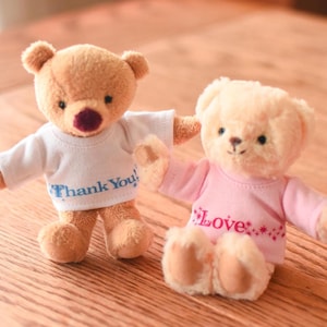 Message Print T-shirts for Small Plush Toy - Clothes for Soft toy, teddy bear, Cute Kawaii, Stuffed Animal Outfit , Fits 3.5-5.5in Plushie