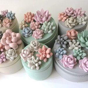 May include: A collection of 10 small, round concrete containers with a variety of pastel colored succulents on top. The containers are all different colors, including pink, green, gray, and beige.
