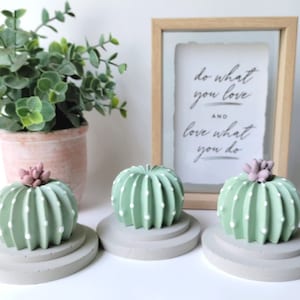 May include: Three green and white cactus-shaped decorations with pink flower accents sit on gray concrete bases. The bases are on a white surface. A framed sign behind the cacti reads "do what you love and love what you do."