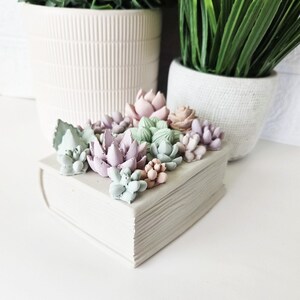 May include: A white ceramic book-shaped box with a decorative succulent arrangement on the cover. The succulents are in shades of pink, green, and purple.