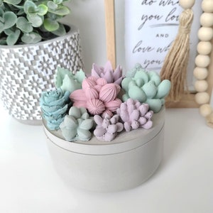 Large Concrete Succulents Container Vessels Jar with lid Trinket Dish Candle Decorative Piece Home Decor Gifts image 1