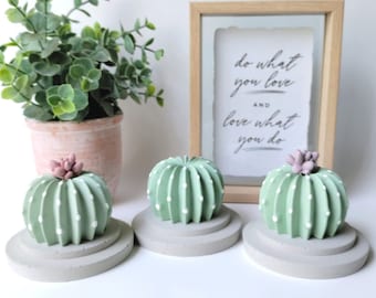 Concrete Barrel Cactus Diffuser, Essential Oil, Fragrance, Aroma Stones, Home Decor, Cute Gift, Succulents, Air Freshener, Favors