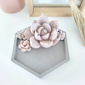 May include: A hexagonal gray concrete tray with a pink succulent and smaller pink flowers. The tray is perfect for holding jewelry or other small items.