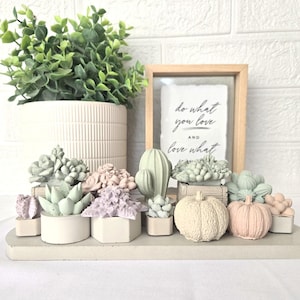 Puede incluir: Una bandeja de concreto con una variedad de pequeñas plantas suculentas artificiales de diferentes colores y estilos. La bandeja está decorada con dos pequeñas calabazas artificiales. Un letrero enmarcado con el texto "haz lo que amas y ama lo que haces" está en el fondo.