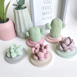 Small Concrete Cactus Diffuser- for Essential oils- Fragrance oils- Succulent - Home Decor- Gift- Succulents and Cactus love - Aroma Stones