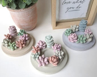 Concrete Succulent Diffuser, Essential, Fragrance, Oil, Home Decor, Cute Gift, Room Decoration, Plants, Cement, Air Freshener