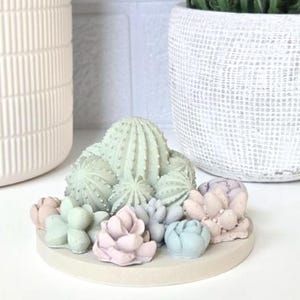 May include: A small, round, gray planter with a variety of green and pastel colored succulents. The planter is sitting on a white surface.