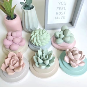 Large Succulent Diffuser- Aroma Stones - for Essential oils- Fragrance oils- Cute decorative piece- Home decor- Gift- Home Decor - Favors