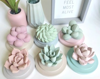 Concrete Succulent Diffuser, Essential Oil, Fragrance, Aroma Stone, Home Decor, Room Decorations, Cute Gift, Favors