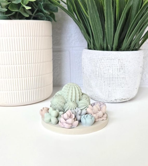 Concrete Succulent Diffuser, Essential, Fragrance, Oils, Home Decor, Room  Decorations, Office, Cute Gift, Air Freshener - Etsy