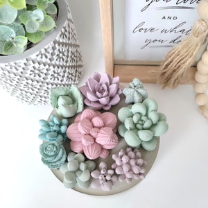 Large Concrete Succulents Container Vessels Jar with lid Trinket Dish Candle Decorative Piece Home Decor Gifts image 3