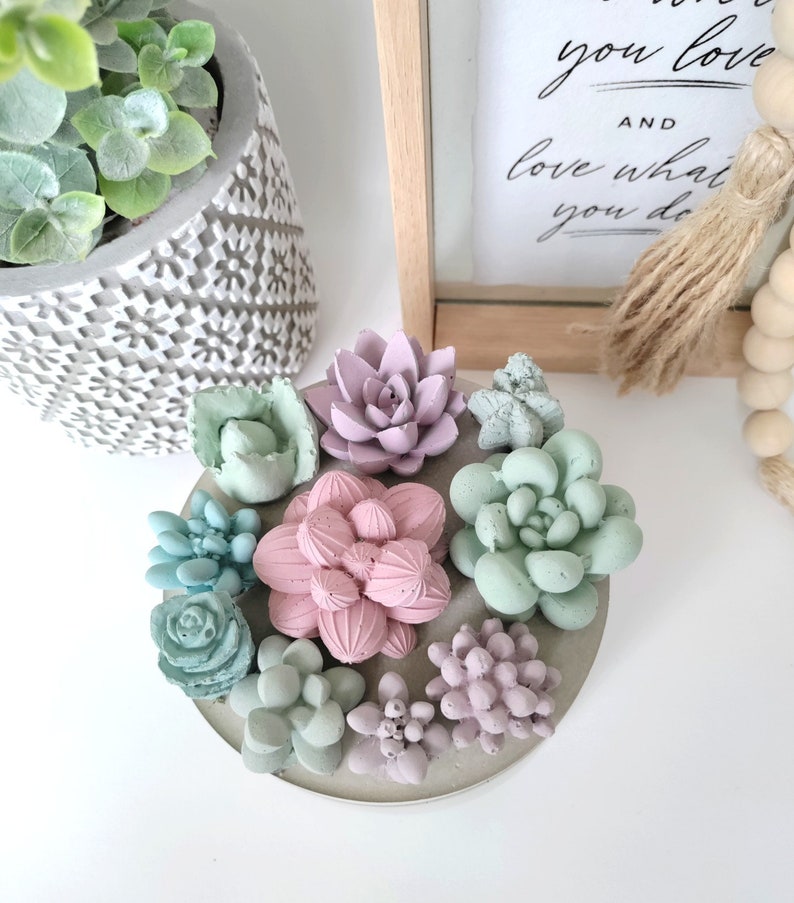 Large Concrete Succulents Container Vessels Jar with lid Trinket Dish Candle Decorative Piece Home Decor Gifts image 3