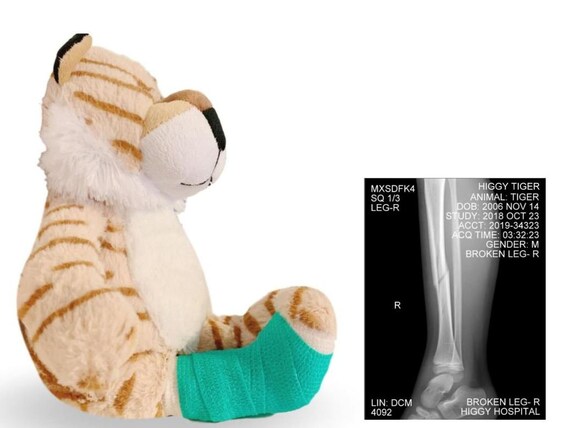 stuffed animal with broken leg