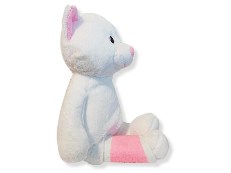 stuffed animal with broken leg