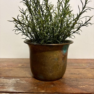 May include: A small, antique-style copper-colored planter pot with a dark green plant inside. The pot has a rounded shape and a slightly flared rim. The plant has many thin, dark green leaves. The pot sits on a weathered wooden surface.