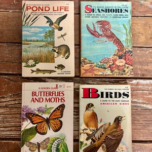May include: Four vintage Golden Nature Guides: "Pond Life," "Seashores," "Butterflies and Moths," and "Birds." The covers feature illustrations of a duck, lobster, butterfly, and birds. The books are on a wooden surface.
