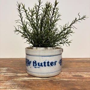 May include: A white ceramic crock with blue decorative floral patterns and the word Butter printed in blue text. The crock contains a green artificial plant with thin, pointed leaves extending upwards from the center of the container.