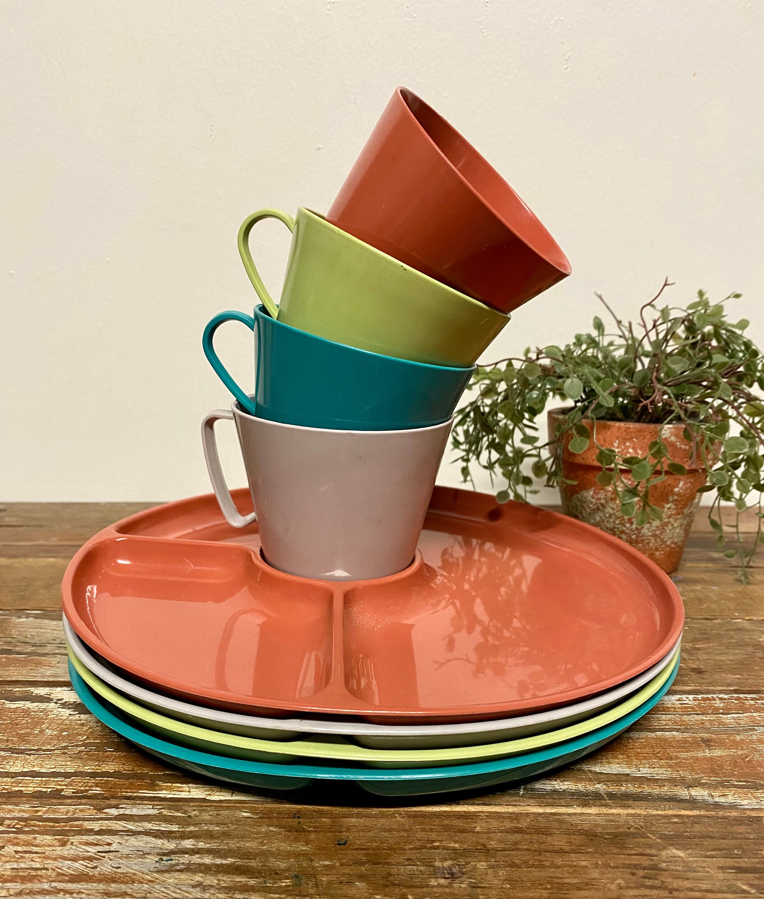 Vintage Sterilite Divided Plate Set: Retro Plastic Picnic Dishes