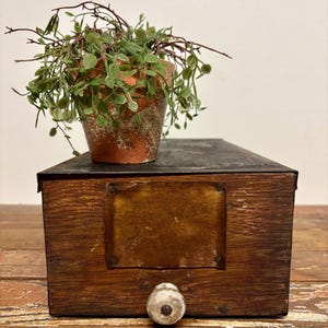 May include: A vintage wooden drawer with a metal top and a ceramic knob. The drawer has a brass plate and is topped with a terracotta pot holding a trailing plant. The drawer sits on a wooden surface.