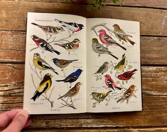 Vintage First Edition “Audubon Land Bird Guide - Eastern Land Birds" Book. 1946. Richard Pough. Illustrated. Ornithology. Bird Watching.
