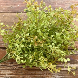 Baby’s Grass Floral Pick…Green. Variegated. Plastic. Leaves. Crafting. Floral Arranging. Stem. Farmhouse. Decor. Spring. Summer. 14 Inch.