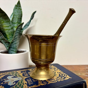 May include: A vintage brass mortar and pestle set. The mortar is a small, bowl-shaped vessel with a flared rim, and the pestle is a long, cylindrical tool. The set is displayed on a blue book with gold lettering, with a potted snake plant in the background.