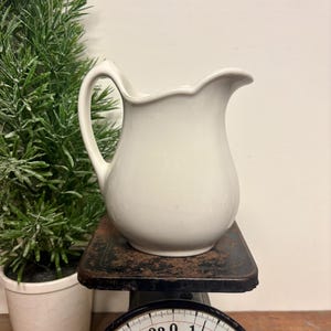 May include: A white ceramic pitcher with a scalloped rim and a curved handle. The pitcher sits on a vintage scale with a black base and a circular dial. A small potted evergreen plant is to the left of the pitcher.